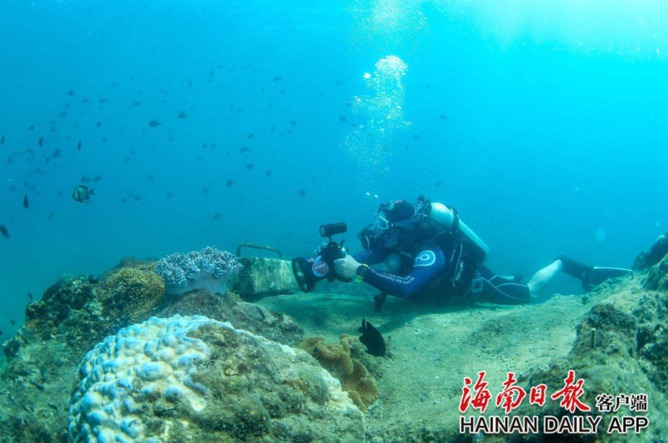 【世界说】“妥善存放枪支能救命”为何没人听？美媒：枪支行业片面宣传令美国民众对枪支存放的风险不以为然