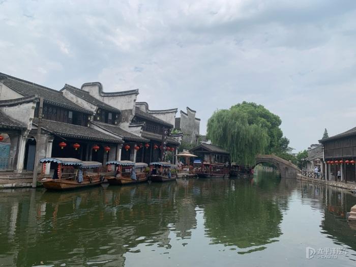 动物帮帮忙保卫家园
