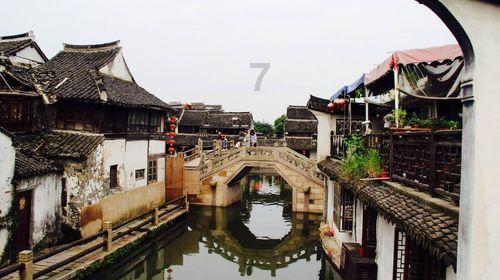 大山羔羊逃生